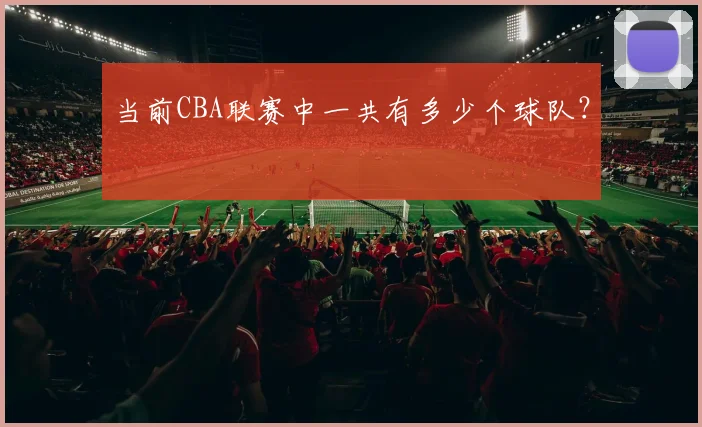 当前CBA联赛中一共有多少个球队？
