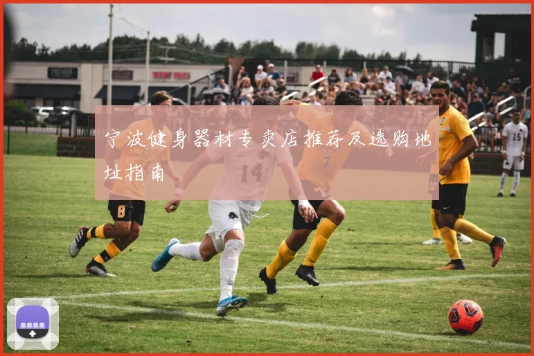 宁波健身器材专卖店推荐及选购地址指南