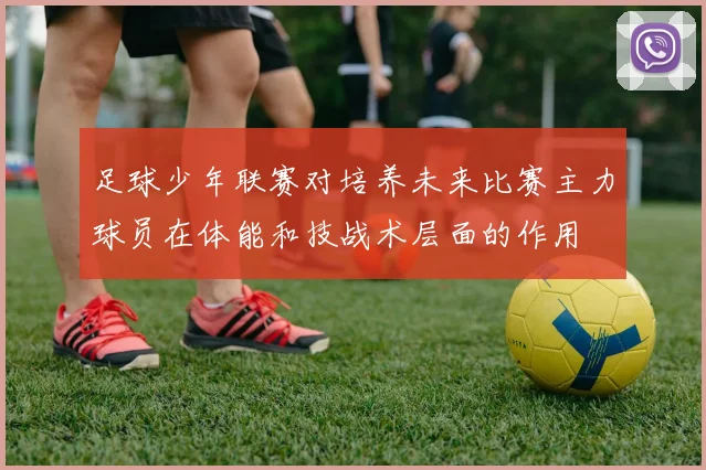 足球少年联赛对培养未来比赛主力球员在体能和技战术层面的作用