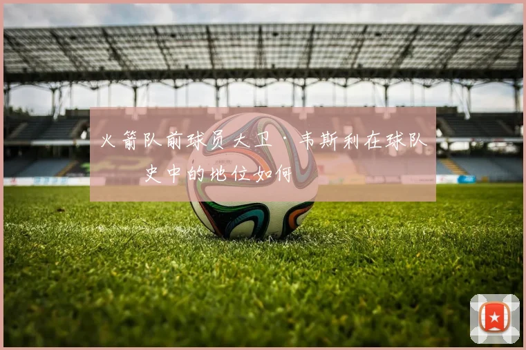 火箭队前球员大卫·韦斯利在球队历史中的地位如何