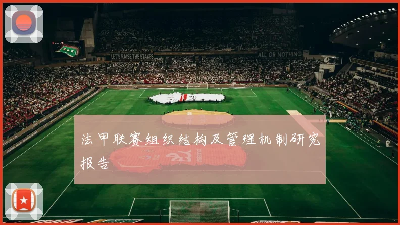 法甲联赛组织结构及管理机制研究报告