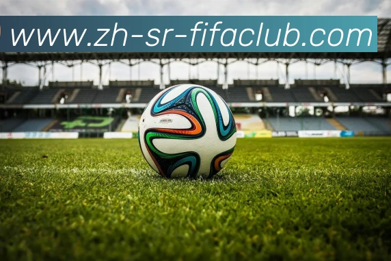 世界杯买球平台生态图